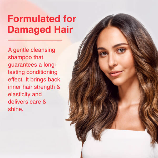 SCH Bc Repair Rescue Shampoo Arginine 250 ml - Image 3