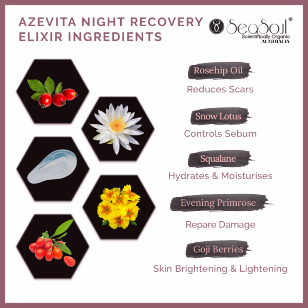 AZEVITA NIGHT RECOVERY ELIXIR (30 ml) - Image 2