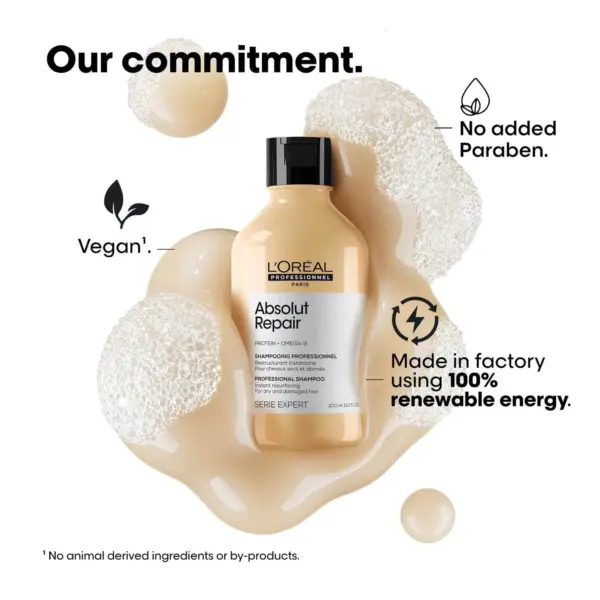 L'Oreal Absolut Repair Shampoo (300 ml) Hair Mask (250 g) Combo For Damaged Hair - Image 3