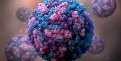 #zikavirus | സിക്ക വൈറസ്; സ്ഥിരീകരിച്ചത് 8 കേസുകൾ, ജാ​ഗ്രതാ നിർദ്ദേശങ്ങളുമായി കേന്ദ്ര സർക്കാർ