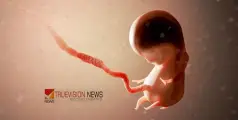 #abortion | വീട്ടിൽവച്ച് ഗർഭച്ഛിദ്രം നടത്തി ഭ്രൂണം കൃഷിസ്ഥലത്ത് കുഴിച്ചിട്ടു, 24കാരിക്ക് ദാരുണാന്ത്യം; ഭർത്താവും ഭര്‍തൃപിതാവും അറസ്റ്റിൽ