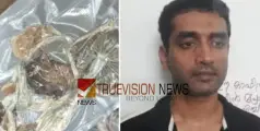  #drug  | ആഢംബര കാറിൽ ലക്ഷങ്ങൾ വിലമതിക്കുന്ന മാജിക് മഷ്റൂം; പിടികൂടി എക്സൈസ്, യുവാവ് അറസ്റ്റിൽ