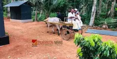 #AgriPark | ബോട്ടിംഗ് പലതരം; ആനന്ദിക്കാൻ അഗ്രി പാർക്കിൽ വരൂ