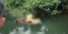 #foundbody | നടുവണ്ണൂർ തോട്ടുമൂല തോട്ടിൽ മൃതദേഹം; മരിച്ചത് ചാത്തോത്ത് സ്വദേശി 