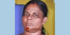 #trainAccident | വീട്ടമ്മ തീവണ്ടി തട്ടി മരിച്ച നിലയിൽ