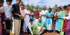 ആറളം ഫാമിലെ ഇഞ്ചി ഉദ്യാനത്തിൻ്റെ നടിയിൽ ഉദ്ഘാടനം നടത്തി