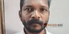 #arrest |  വീട്ടിൽ അതിക്രമിച്ച് കയറി പന്ത്രണ്ട് വയസുകാരിയെ പീഡിപ്പിക്കാൻ ശ്രമം; യുവാവ് പിടിയിൽ