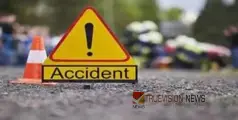 #accident | കിടപ്പു രോഗിയായ അമ്മയെ കാണാൻ പോയ മകൾ കാറിടിച്ച് മരിച്ചു; പിന്നാലെ അമ്മയും