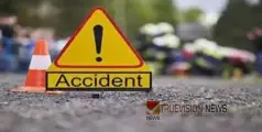 #accident | ചോളവുമായി പോകുകയായിരുന്ന ചരക്ക് ലോറി നിയന്ത്രണം വിട്ട് മറിഞ്ഞ് അപകടം; ഡ്രൈവർ മരിച്ചു