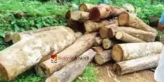  #trees | പരാതി; ഉരുൾപൊട്ടലിൽ ഒഴുകിയെത്തിയ മരങ്ങൾ കടത്താനുള്ള ശ്രമം തടഞ്ഞ് നാട്ടുകാർ 