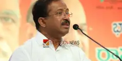 #VMuraleedharan |  വയനാട് ഹ‍ർത്താൽ: ഹൈക്കോടതി വിമ‍ർശനം ഇന്ത്യ മുന്നണിക്കുള്ള പ്രഹരമെന്ന് വി മുരളീധരൻ