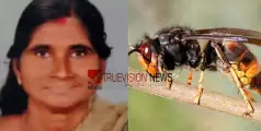 #WaspATtack | ജോലിക്കിടെ കടന്നൽ കുത്തേറ്റ തൊഴിലുറപ്പ് തൊഴിലാളി മരിച്ചു 