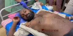 #accident | മ്ലാവ് കുറുകെ ചാടിയതിനെ തുടര്‍ന്ന് ഓട്ടോറിക്ഷ നിയന്ത്രണം വിട്ട് മറിഞ്ഞു; രണ്ട് പേര്‍ക്ക് പരിക്ക്