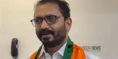 #KSurendran | 'പാലക്കാട്ട് വോട്ട് ശതമാനം ഉയ‍ര്‍ത്താൻ ബിജെപിക്ക് കഴിഞ്ഞില്ല, ആവശ്യമായ തിരുത്തലുകൾ വരുത്തും' - കെ സുരേന്ദ്രൻ