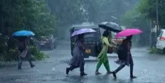 ഒറ്റപ്പെട്ട  ശക്തമായ മഴയ്ക്ക്  സാധ്യത; എട്ട് ജില്ലകളിൽ യെല്ലോ അലർട്ട്