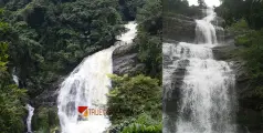 #Chillathodewaterfall | സഞ്ചാരികളെ വരവേൽക്കാൻ ഒരുങ്ങി നിൽക്കും; ഗ്രാമകവാടത്തിലെ ചില്ലിത്തോട് വെള്ളച്ചാട്ടം