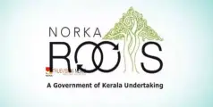 #NorkaaRoots | നോര്‍ക്ക റൂട്ട്സ് ; ലോകകേരള സഭ അന്താരാഷ്ട്ര പ്രവാസി ദിനാചരണം നാളെ