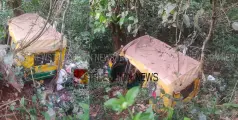 #accident | കോഴിക്കോട് പേരാമ്പ്രയില്‍ ഓട്ടോറിക്ഷ മറിഞ്ഞ് അപകടം, രണ്ട് പേർക്ക് പരിക്ക്