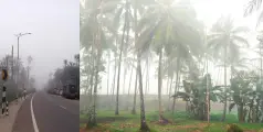  കോടമഞ്ഞ്; പ്രതീക്ഷയുടെ കാഴ്ചകള്‍ 