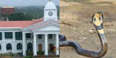 #snake | ഭരണസിരാ കേന്ദ്രമായ സെക്രട്ടറിയേറ്റിൽ പാമ്പ്; പിടികൂടാൻ ശ്രമിച്ചെങ്കിലും കഴിഞ്ഞില്ല, പരിശോധന