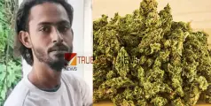 #ganja |  ന​മ്പ​ർ പ്ലേ​റ്റി​ല്ലാ​ത്ത ബൈ​ക്കി​ൽ കഞ്ചാവുകടത്ത്: ര​ണ്ടു​വ​ർ​ഷം തടവും പിഴയും 