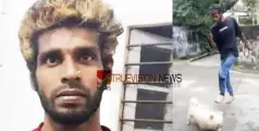 #attack | നാട്ടുകാരെ നായയെക്കൊണ്ട് കടിപ്പിച്ച കേസിൽ അറസ്റ്റിലായിരുന്ന ഗുണ്ട ജാമ്യത്തിലിറങ്ങി ശാസ്ത്രജ്ഞനെയും ഭാര്യയെയും ആക്രമിച്ചു