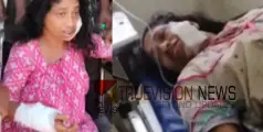 #attack |   മദ്യപിക്കാന്‍ പണം നല്‍കിയില്ല, അമ്മയെ വെട്ടിപ്പരിക്കേല്‍പ്പിച്ച് മകൻ 