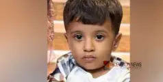 #childdeath | പിസ്തയുടെ തൊലി തൊണ്ടയില്‍ കുടുങ്ങി രണ്ടുവയസുകാരന് ദാരുണാന്ത്യം  