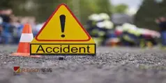 #accident | തെരുവുനായ കുറുകേ ചാടി, മത്സ്യവുമായി പോയ ഓട്ടോറിക്ഷ മറിഞ്ഞ് ഡ്രൈവർ മരിച്ചു, യാത്രക്കാർക്ക് പരിക്ക്