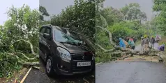 വഴിയരികിൽ നിർത്തിയിട്ട കാറിന് മുകളിലേക്ക് മരവും വൈദ്യുത പോസ്റ്റും വീണു; ഒഴിവായത് വൻ ദുരന്തം