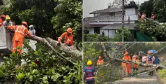 വയനാട്ടിൽ വേനൽ മഴയ്ക്കിടെ വീടിന് മുകളിൽ മരം വീണു, ഇലക്ട്രിക് പോസ്റ്റ് ഒടിഞ്ഞു വീണു;  പലയിടത്തും നാശനഷ്ടം