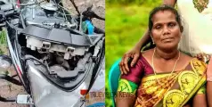 സംസ്ഥാനത്ത് ശക്തമായ മഴ: തെങ്ങു വീണ് സ്ത്രീ മരിച്ചു, മരക്കൊമ്പ് ഒടിഞ്ഞുവീണ് യുവാവിന് പരിക്ക്
