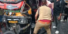 മരങ്ങൾ വീണ് ഗതാഗതം മുടങ്ങി
