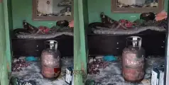 പാചകവാതക സിലിണ്ടർ ചോർന്നു; വീടിന് തീപിടിച്ച് രണ്ട് പേർ വെന്തുമരിച്ചു