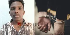  ഇതൊക്കെ ഒരു രസല്ലേ....;സിനിമാ നടിമാരുടെ മോര്‍ഫ് ചെയ്ത ചിത്രങ്ങള്‍ പ്രചരിപ്പിച്ചു;  യുവാവ് അറസ്റ്റില്‍  