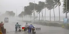 ശക്തമായ മഴയിലും കാറ്റിലും മരം വീണ്‌ ഓട്ടോഡ്രൈവർക്ക് ദാരുണാന്ത്യം