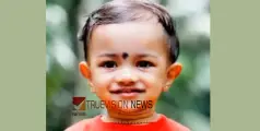 അമ്മ മകനെയുമെടുത്ത് കിണറ്റിൽ ചാടി; രണ്ടര വയസുകാരൻ മരിച്ചു, അമ്മ ആശുപത്രിയിൽ