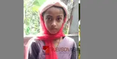 വീട്ടുമുറ്റത്ത് കളിക്കുന്നതിനിടെ തലയിൽ ചക്ക വീണ് 9 വയസ്സുകാരിക്ക് ദാരുണാന്ത്യം