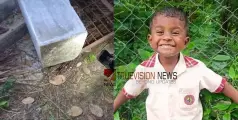 ഗേറ്റും മതിലും തകർന്ന് വീണ് അപകടം; അഞ്ച് വയസുകാരന് ദാരുണാന്ത്യം