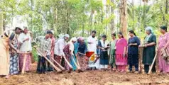 വിത്ത് വിതച്ചു; കായക്കൊടി പഞ്ചായത്തിൽ തരിശ് ഭൂമിയിൽ കരനെല്‍ കൃഷിക്ക് തുടക്കം 