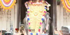  തൃശൂർ പൂരത്തിന് വിളംബരമായി; തെക്കേഗോപുര വാതിൽ തുറന്നു, തിടമ്പേറ്റി എറണാകുളം ശിവകുമാർ