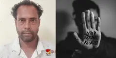 17-കാരിയെ വീട്ടിൽ കയറി പീഡിപ്പിച്ചു: പോക്‌സോ കേസിൽ 45-കാരന് ഒമ്പത് വർഷം കഠിന തടവ്