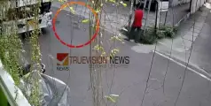 കൊച്ചിയില്‍ ആളുകളെ ആക്രമിച്ച തെരുവുനായയ്ക്ക് പേവിഷബാധ 