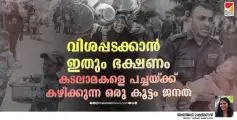 വിശപ്പടക്കാൻ ഇതും ഭക്ഷണം; കടലാമകളെ പച്ചയ്ക്ക് കഴിക്കുന്ന ഒരു കൂട്ടം ജനത