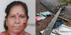 ടൂറിസ്റ്റ് ബസിൽ കേബിൾ കുരുങ്ങി വൈദ്യുത പോസ്റ്റ് ഒടിഞ്ഞുവീണു; തൊഴിലുറപ്പ് തൊഴിലാളിയായ സ്ത്രീക്ക് ദാരുണാന്ത്യം