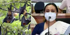 നിപ രോഗി ഗുരുതരാവസ്ഥയിൽ; സമ്പർക്ക പട്ടികയിൽ 49 പേര്‍, റൂട്ട് മാപ്പ് പുറത്തുവിട്ട് ആരോഗ്യ വകുപ്പ്