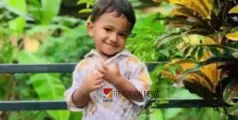 നിർത്തിയിട്ട കാർ ഉരുണ്ടിറങ്ങി ദേഹത്ത് കയറി രണ്ടര വയസ്സുകാരന് ദാരുണാന്ത്യം