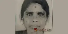 നെല്ലിയുള്ളപ്പറമ്പത് ചീരു അന്തരിച്ചു