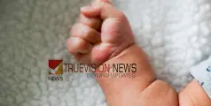 കണ്ണൂർ സ്വദേശികളായ ദമ്പതികൾ സഞ്ചരിച്ച കാര്‍ മറിഞ്ഞ് അപകടം, പിന്നാലെ വന്ന ബസ് കാറിലേക്ക് ഇടിച്ചുകയറി, പിഞ്ചു കുഞ്ഞിന് ദാരുണാന്ത്യം