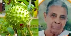  ഉമ്മത്തിൻ കായ കഴിച്ച് വയോധിക മരിച്ചു